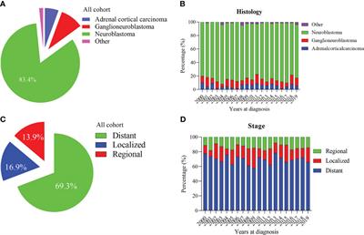 Long-term survival outcomes of pediatric adrenal malignancies: An analysis with the upstaged SEER registry during 2000-2019